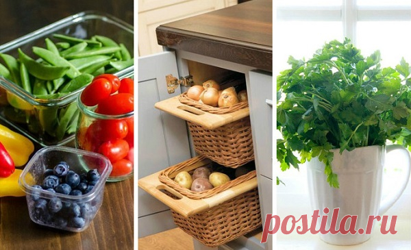 12 хитростей, которые помогут сохранить продукты свежими надолго. Я не знала и половину Каждый раз когда я выбрасывала испортившиеся продукты в помойное ведро, вздыхала: сколько денег потрачено впустую! Ну почему помидоры и огурцы даже недели не продержались! А несколько месяцев назад разбирала старые подшивки советских журналов и наткнулась на полезные советы по хранению разных продуктов. И с тех пор, как я взяла их на вооружение, ни одной вялой морковки не выкинула! С радостью