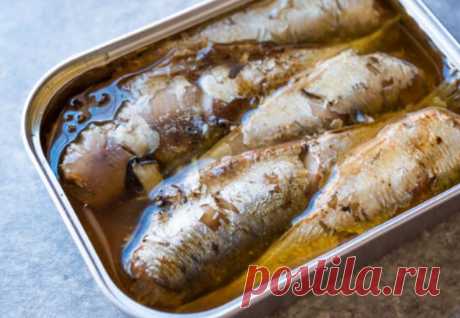 Почему нужно есть скумбрию: удивительные свойства простого продукта | ЗОЖ | MedikForum.ru