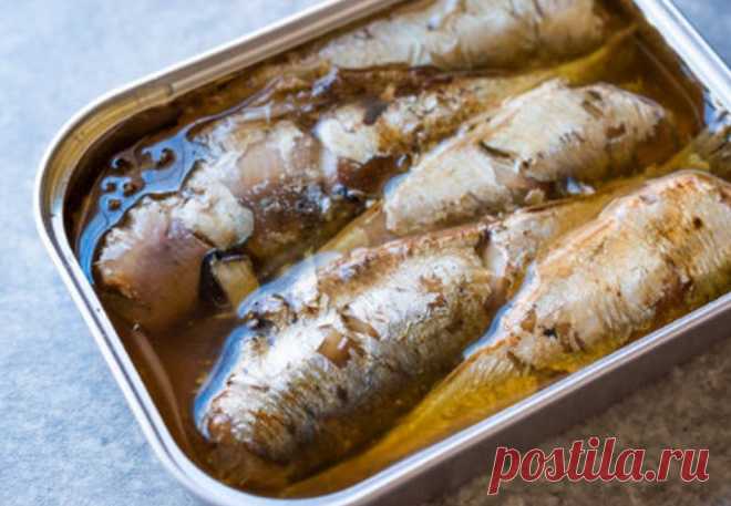 Почему нужно есть скумбрию: удивительные свойства простого продукта | ЗОЖ | MedikForum.ru