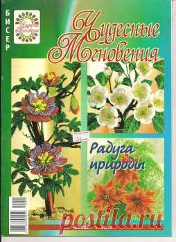 Чудесные мгновения бисер 02 2010