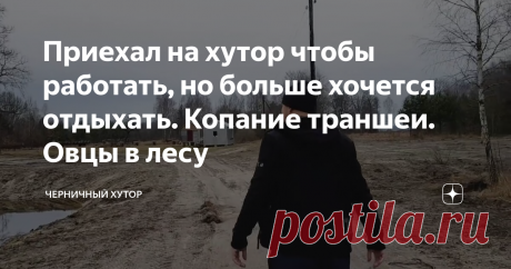 Приехал на хутор чтобы работать, но больше хочется отдыхать. Копание траншеи. Овцы в лесу