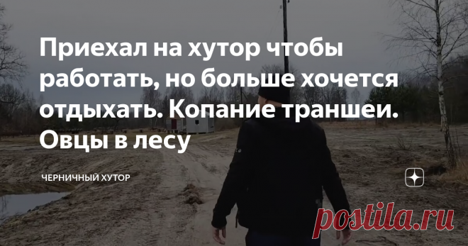 Приехал на хутор чтобы работать, но больше хочется отдыхать. Копание траншеи. Овцы в лесу