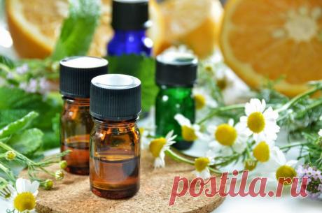 Как быстро вылечить грибок ногтей на ногах народными средствами
Как вывести грибок на ногах народными средствами. ... Лечить грибок ногтей на ногах в домашних условиях можно с использованием березового дегтя. ... Народные средства от грибка ногтей на ногах — Лечим быстро и просто Ссылка на основную публикацию. Похожие публикации. Как быстро вылечить грибок ногтей