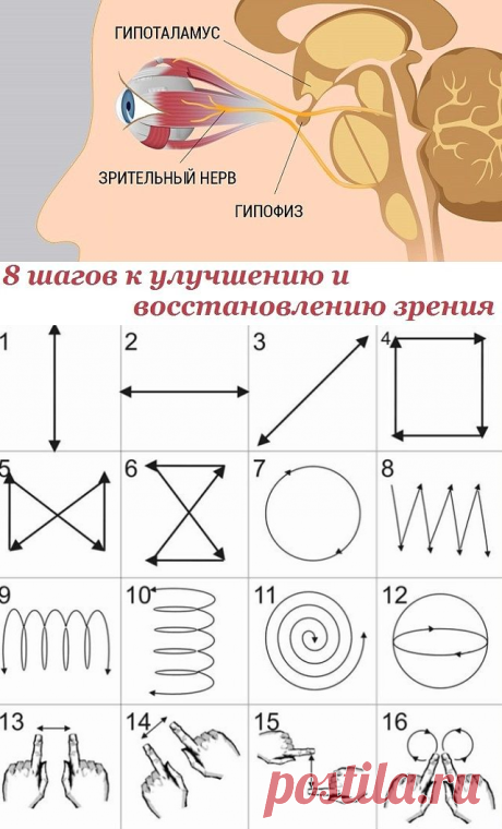 8 шагов к улучшению и восстановлению зрения