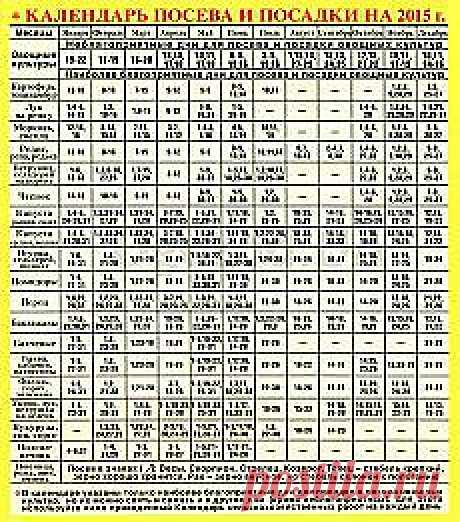 Письмо «❀ Укрепление иммунитета. Посевной календарь. Головная боль. Великий Пост. Яйцо наизнанку. Сочетания клавиш. Необычная лампа // Кусочек Постилы к чаю» — Постила — Яндекс.Почта