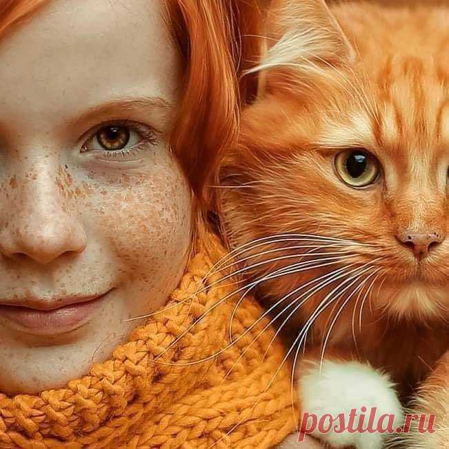 Союз рыжих 😍