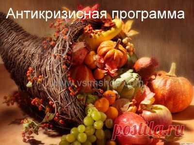 Антикризисная программа. Эко бизнес. Реферальный маркетинг - Vsim Shop