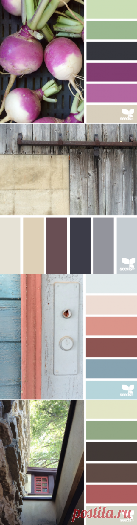 design seeds | for all who ♥ color