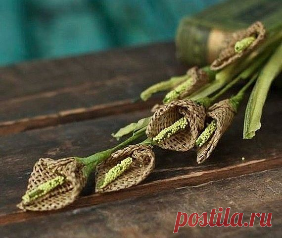 (35) Одноклассники