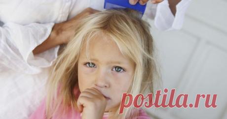 Как избавить ребенка от вшей: секрет, о котором вам не рассказывают врачи