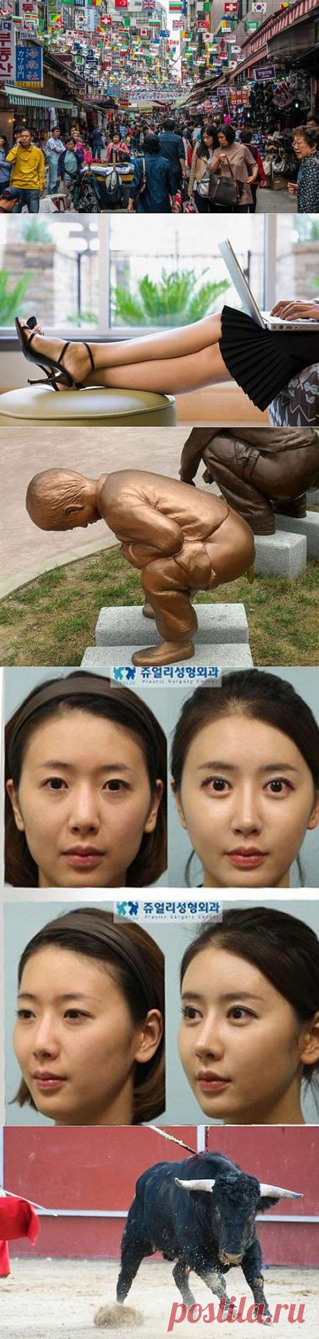 (+1) - Интересные факты о Южной Корее | Среда обитания