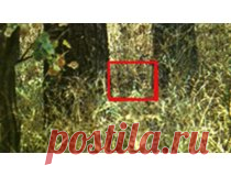 про желтые пятна на блузках и как я их победила :) - Страна Мам