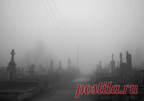 Привидение  с мотором | Я и дача | Яндекс Дзен