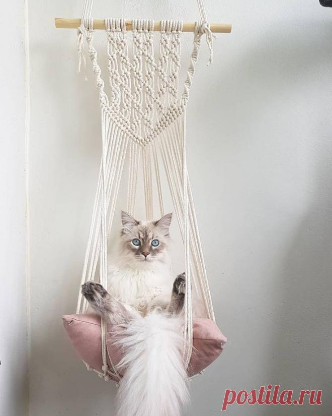 ​Идеи подвесных лежанок для кошек Идеи подвесных лежанок для кошекИдеи подвесных лежанок для кошек делаются в технике макраме и не только радуют питомца, но и украшают пространство дома.