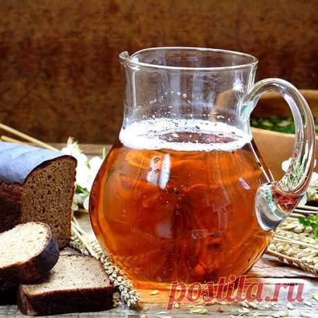 Квас летний из цикория