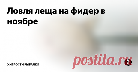 Ловля леща на фидер в ноябре  Ловля леща в ноябре, несмотря на заметное похолодание, весьма популярна. В это время рыбакам временами попадаются действительно крупные особи, успевшие отжировать за летне-осенний сезон. Забросы, естественно, придется делать дальние и глубокие, а потому, наличие плавающего средства заметно облегчат задачу. В этой статье мы расскажем о повадках леща в конце осени, а также как и на что его следует л