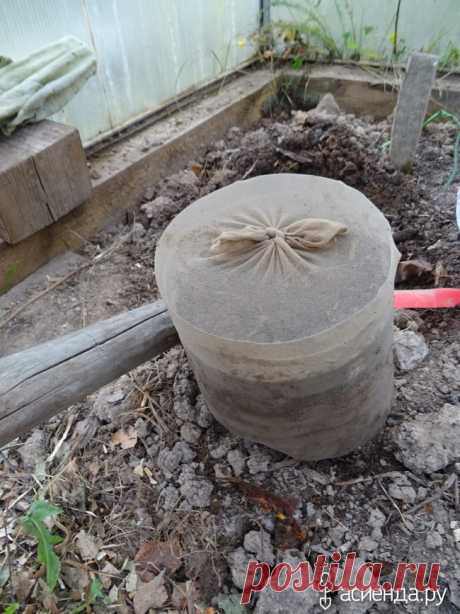 Как отогнать мышей от семян? / Асиенда.ру