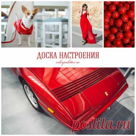 Красный — яркий, насыщенный, вызывающий, страстный, волнующий, могущественный, агрессивный, предупреждающий об опасности
Он может стать отличным помощником, а может создать сложности в использовании, восприятии окружающими людьми:
— отлично подойдет для создания хорошего настроения, поднятия уровня жизненной энергии, уверенности в себе и своих силах,
— совсем не годится для установления дружественных и теплых взаимоотношений, сотрудничества.
Подробнее о психологии цвета и ...