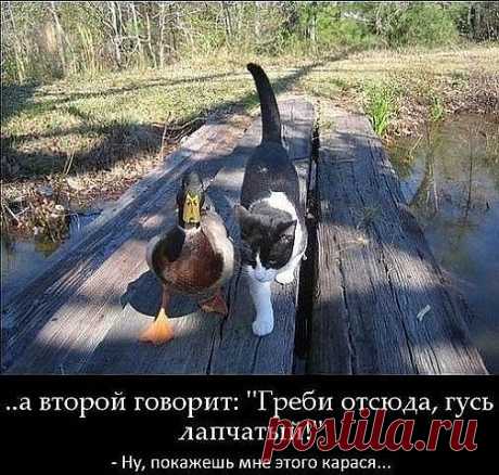 защитник