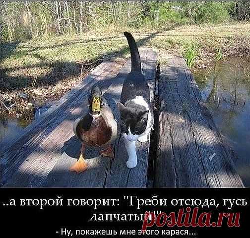 защитник