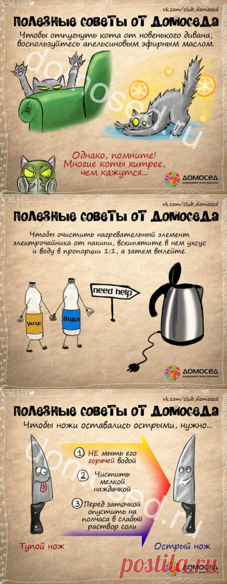 (+1) тема - Польза в быту | ВСЕГДА В ФОРМЕ!