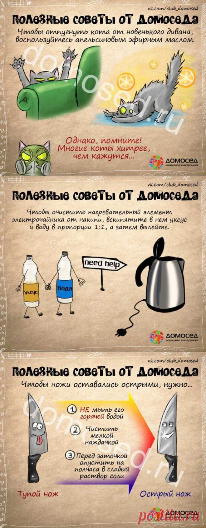 (+1) тема - Польза в быту | ВСЕГДА В ФОРМЕ!