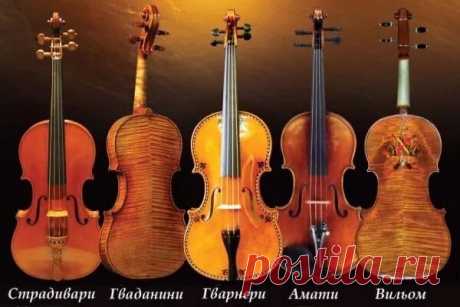 Запись на стене Однажды один из студентов Ульяновского музыкального училища поинтересовался у Дмитрия Когана, дает ли Фонд имени Когана (Фонд поддержки уникальных культурных проектов, благодаря которому в 2011 году была приобретена в Милане скрипка Гварнери дель Джезу, на которой играл Дмитрий) возможность молодым музыкантам поиграть на таких инструментах. Скрипач заметил, что прежде чем начать играть на скрипке Гварнери, он несколько раз объездил мир с концертами....