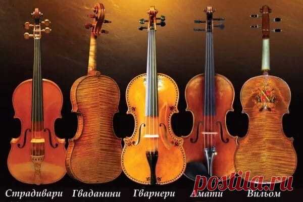 Запись на стене Однажды один из студентов Ульяновского музыкального училища поинтересовался у Дмитрия Когана, дает ли Фонд имени Когана (Фонд поддержки уникальных культурных проектов, благодаря которому в 2011 году была приобретена в Милане скрипка Гварнери дель Джезу, на которой играл Дмитрий) возможность молодым музыкантам поиграть на таких инструментах. Скрипач заметил, что прежде чем начать играть на скрипке Гварнери, он несколько раз объездил мир с концертами....