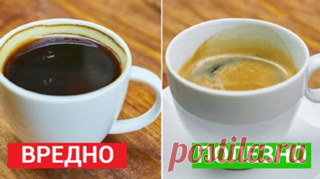 7 важных фактов, о которых должен знать каждый кофеман… Делай выводы лично! — Полезные советы