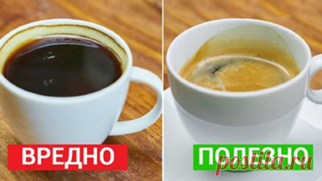 7 важных фактов, о которых должен знать каждый кофеман… Делай выводы лично! — Полезные советы