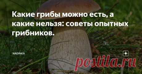 Какие грибы можно есть, а какие нельзя: советы опытных грибников. Съедобных грибов очень много. У каждого из них особенный вкус и аромат. Многие среди них считаются деликатесом, и найти их очень сложно. Опытные шеф - повара в ресторанах делят грибы на классы, согласно вкусовых особенностей и пищевой ценности.
В грибном «мясе» есть большое количество полезных витаминов и минералов, их употребляют при похудении и очищении организма. Среди этой категории особенно