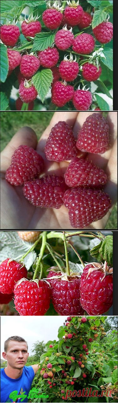 (99) Одноклассники