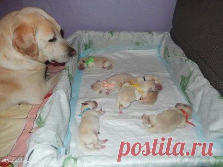 На волне ПоЗиТиВа ☚(ړײ)✌
Без улыбки нельзя смотреть!!!