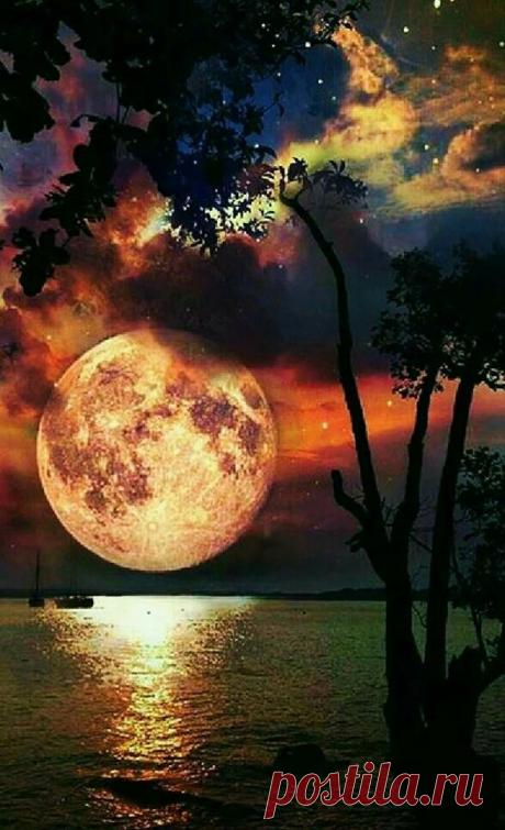 Բնության գեղեցկությունը կատարյալ է... ✨💛
Մենք չգիտենք, թե ինչ կլինի վաղը։ Թող այն լինի և լինեն նրանք, ովքեր մեզ համար թանկ են :
Բարի եւ խաղաղ գիշեր ✨ ․․․քաղցր երազներ :♥