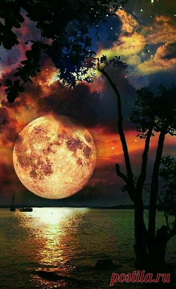 Բնության գեղեցկությունը կատարյալ է... ✨💛
Մենք չգիտենք, թե ինչ կլինի վաղը։ Թող այն լինի և լինեն նրանք, ովքեր մեզ համար թանկ են :
Բարի եւ խաղաղ գիշեր ✨ ․․․քաղցր երազներ :♥