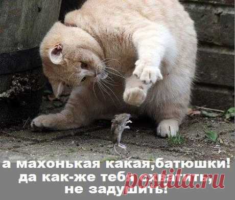 ᴼᴿᴵᴳᴵᴺᴬᴸ   SМАЙЛИКИ   (ړײ)
˙·•●๑ რ√რ√რ​​​ܓܨ