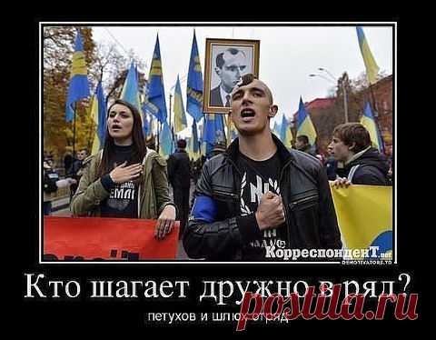 Нацизм не прошел: на Донбассе мэр и его замы побили толпу боевиков «Азова» (ВИДЕО 18+)