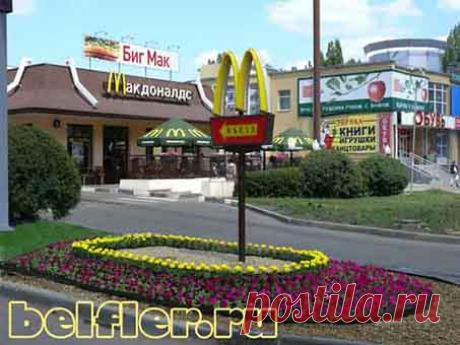 Наши работы - фото до и после. Портфолио дизайнера. — БельфлерДизайн