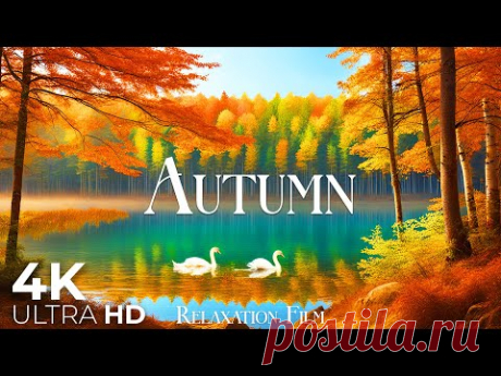 Autumn Forest 4K • Nature Relaxation Film with Peaceful Relaxing Music and Nature Video Ultra HD