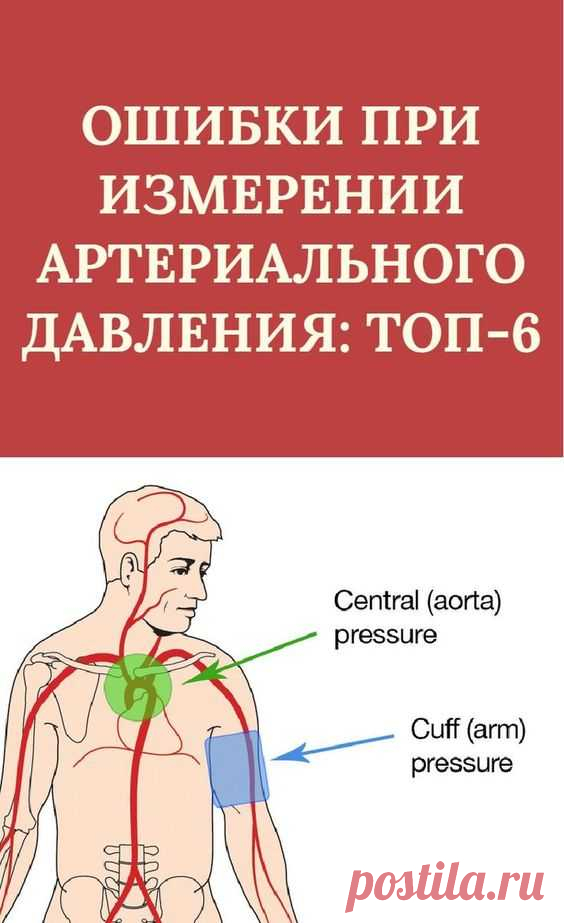 Доктор Мясников назвал главную ошибку при измерении артериального давления: