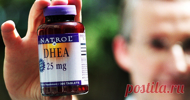 Гармон творчества продлевает жизнь. - Здравницы юга России