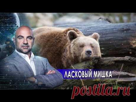 Ласковый мишка. «Как устроен мир" с Тимофеем Баженовым (26.01.21).