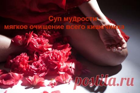 Суп мудрости — мягкое, но эффективное средство очищения всего кишечника