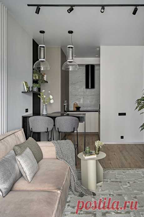 Кухня-гостиная в серых тонах
