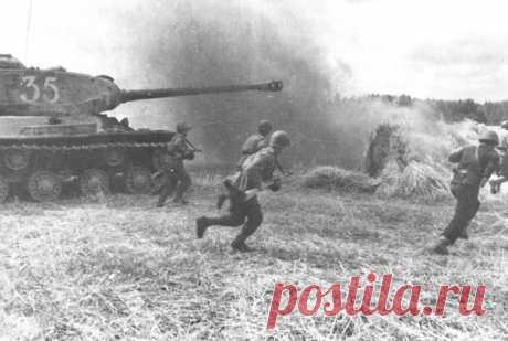 Я не страдал от ненависти к немцам, но воевать с ними было тяжело, поэтому мы их просто уничтожали 
Я не страдал от ненависти к немцам, но воевать с ними было тяжело, поэтому мы их просто уничтожали, как противника, не важно из какой страны они пришли. Пленных я всегда отправлял в тыл и никогда не …