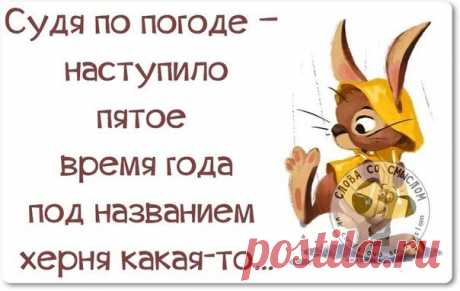 Прикольные фразки в картинках