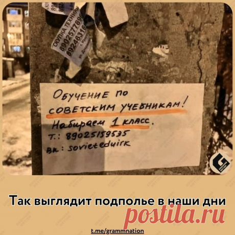 Репетиторы-профи
