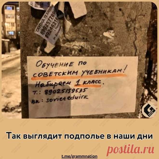 Репетиторы-профи