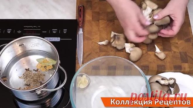 Вкусные соленые вешенки за сутки