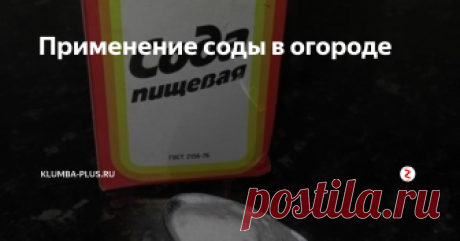 Применение соды в огороде Обычная пищевая сода есть у каждой хозяйки на кухне, в основном её используют для получения пышной выпечки и в уборке. Мало кто знает, что применение соды в огороде поможет защитить огородные растения  от различных заболеваний и вредителей.